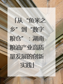 从“鱼米之乡”到“数字粮仓”：湖南粮油产业高质量发展的创新实践