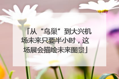 从“鸟巢”到大兴机场未来只要半小时，这场展会描绘未来图景