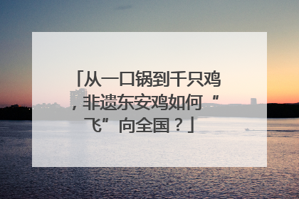 从一口锅到千只鸡，非遗东安鸡如何“飞”向全国？