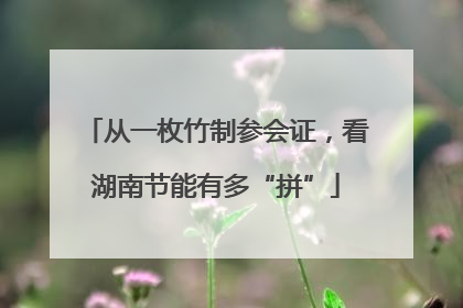 从一枚竹制参会证，看湖南节能有多“拼”