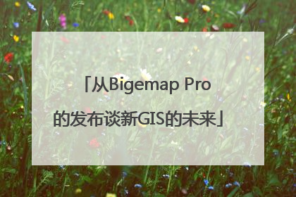 从Bigemap Pro的发布谈新GIS的未来