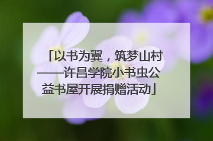 以书为翼，筑梦山村——许昌学院小书虫公益书屋开展捐赠活动