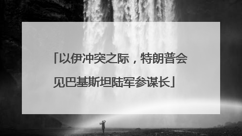 以伊冲突之际，特朗普会见巴基斯坦陆军参谋长