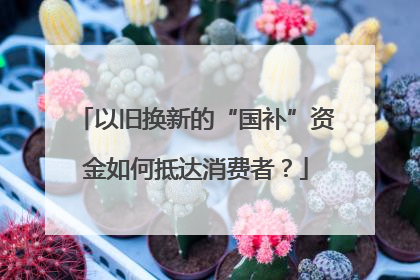 以旧换新的“国补”资金如何抵达消费者？
