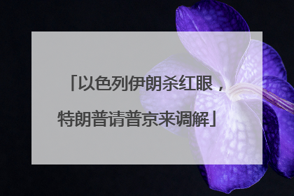 以色列伊朗杀红眼，特朗普请普京来调解