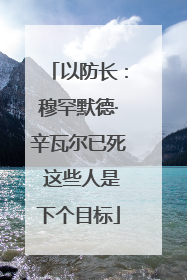 以防长：穆罕默德·辛瓦尔已死 这些人是下个目标
