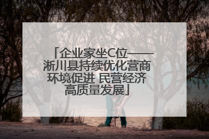企业家坐C位——淅川县持续优化营商环境促进 民营经济高质量发展