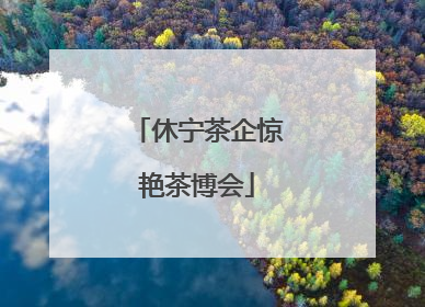 休宁茶企惊艳茶博会