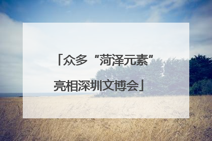 众多“菏泽元素”亮相深圳文博会