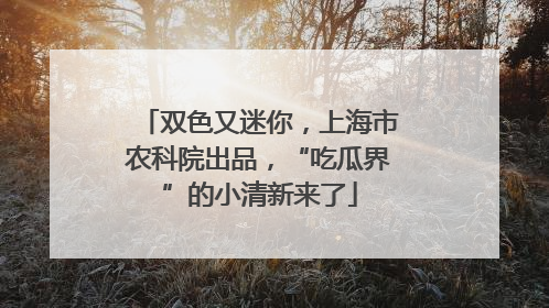 双色又迷你，上海市农科院出品，“吃瓜界”的小清新来了