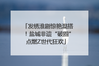 发绣淮剧惊艳混搭！盐城非遗“破圈”点燃Z世代狂欢