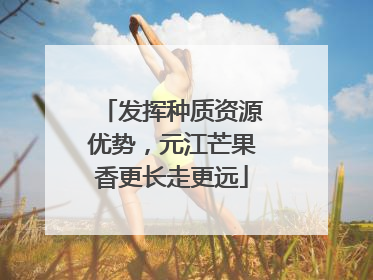 发挥种质资源优势，元江芒果香更长走更远