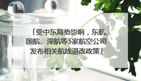 受中东局势影响，东航、国航、深航等5家航空公司发布相关航线退改政策