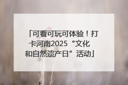 可看可玩可体验！打卡河南2025“文化和自然遗产日”活动