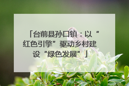 台前县孙口镇：以“红色引擎”驱动乡村建设“绿色发展”