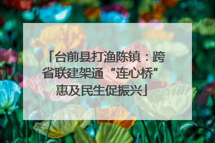 台前县打渔陈镇：跨省联建架通“连心桥” 惠及民生促振兴