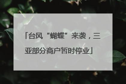 台风“蝴蝶”来袭，三亚部分商户暂时停业