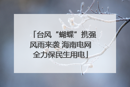 台风“蝴蝶”携强风雨来袭 海南电网全力保民生用电