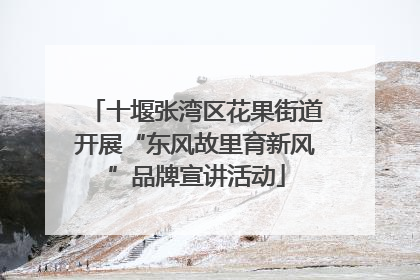 十堰张湾区花果街道开展“东风故里育新风”品牌宣讲活动