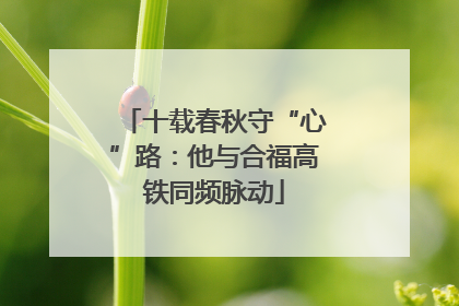 十载春秋守“心”路：他与合福高铁同频脉动