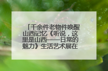千余件老物件唤醒山西记忆《听说，这里是山西——日常的魅力》生活艺术展在忻州市图书馆开展
