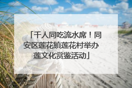 千人同吃流水席！同安区莲花镇莲花村举办莲文化赏鉴活动