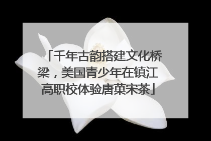 千年古韵搭建文化桥梁，美国青少年在镇江高职校体验唐菓宋茶
