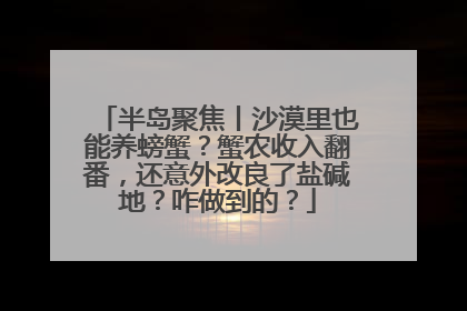 半岛聚焦丨沙漠里也能养螃蟹？蟹农收入翻番，还意外改良了盐碱地？咋做到的？
