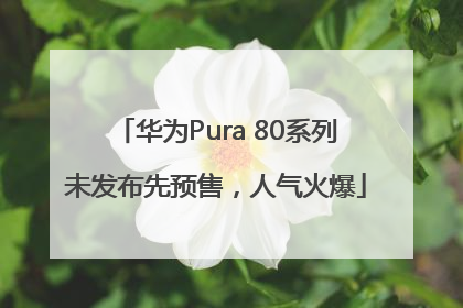 华为Pura 80系列未发布先预售，人气火爆