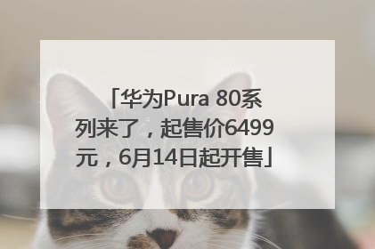 华为Pura 80系列来了，起售价6499元，6月14日起开售