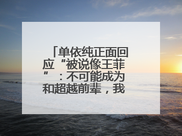单依纯正面回应“被说像王菲”：不可能成为和超越前辈，我想致敬他们