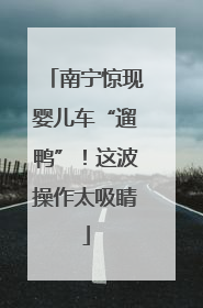 南宁惊现婴儿车“遛鸭”！这波操作太吸睛