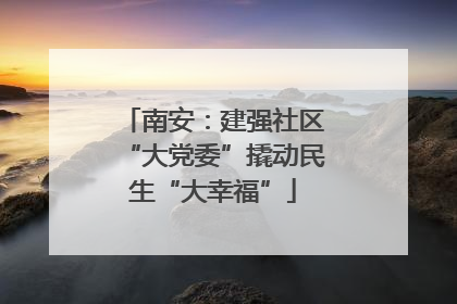 南安：建强社区“大党委”撬动民生“大幸福”
