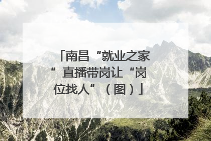 南昌“就业之家”直播带岗让“岗位找人”（图）