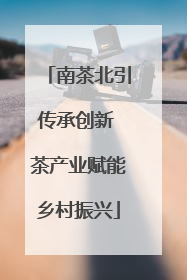 南茶北引传承创新 茶产业赋能乡村振兴