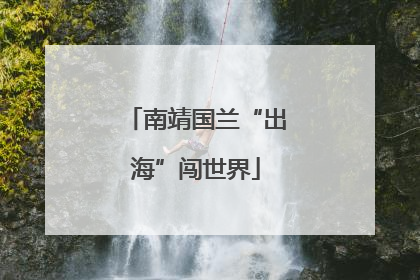 南靖国兰“出海”闯世界