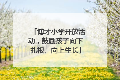 博才小学开放活动，鼓励孩子向下扎根、向上生长