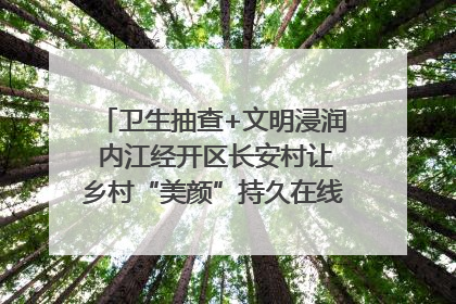 卫生抽查+文明浸润 内江经开区长安村让乡村“美颜”持久在线｜万千气象看四川