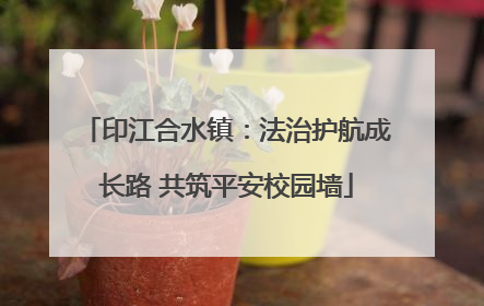 印江合水镇：法治护航成长路 共筑平安校园墙