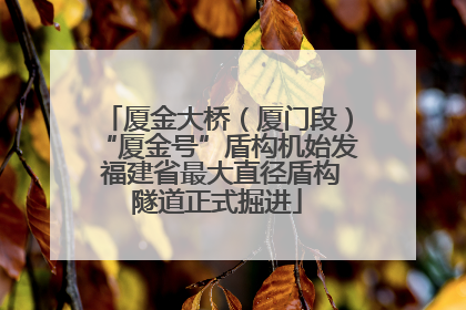 厦金大桥（厦门段）“厦金号”盾构机始发 福建省最大直径盾构隧道正式掘进