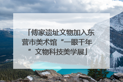 傅家遗址文物加入东营市美术馆“一眼千年”文物科技美学展