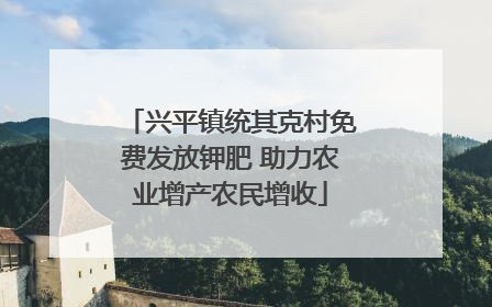 兴平镇统其克村免费发放钾肥 助力农业增产农民增收