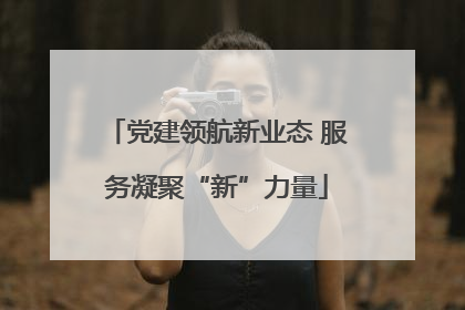 党建领航新业态 服务凝聚“新”力量