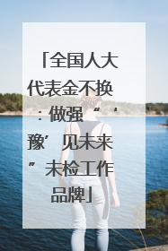 全国人大代表金不换：做强“‘豫’见未来”未检工作品牌