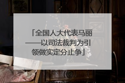 全国人大代表马丽——以司法裁判为引领做实定分止争