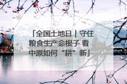 全国土地日｜守住粮食生产命根子 看中原如何“耕”新