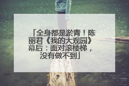 全身都是淤青！陈丽君《我的大观园》幕后：面对滚楼梯，没有做不到