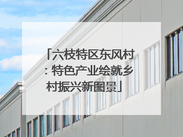 六枝特区东风村：特色产业绘就乡村振兴新图景