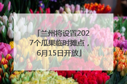 兰州将设置2027个瓜果临时摊点，6月15日开放