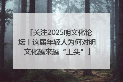关注2025明文化论坛丨这届年轻人为何对明文化越来越“上头”